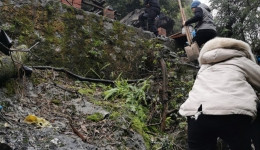 南溪山医院党团员义务植树让环境更美丽