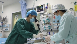 饲养或接触鸟类、家禽，小心鹦鹉热衣原体肺炎