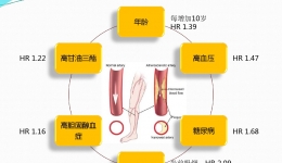老兵下肢动脉硬化闭塞  医生“两针眼”微创解难题