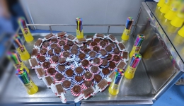 六一儿童节，白衣天使护佑健康送祝福