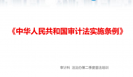 审计法实施条例