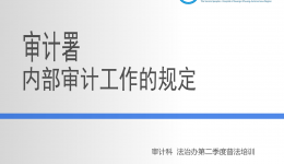 审计署内部审计规定