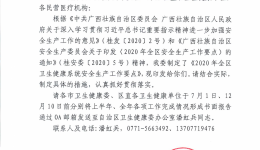 自治区卫生健康委办公室关于印发2020年全区卫生健康系统安全生产工作要点的通知_2020031618114