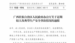 广西壮族自治区人民政府办公厅关于近期较大及典型生产安全事故情况的通报-桂政办电〔2020〕103号