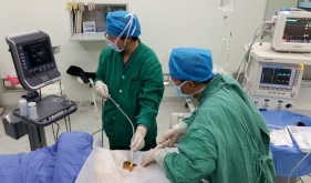 超声引导下深静脉穿刺