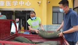 南溪山医院开展防汛应急演练 筑牢汛期安全防线