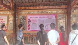 南溪山医院多党支部联合开展党日活动