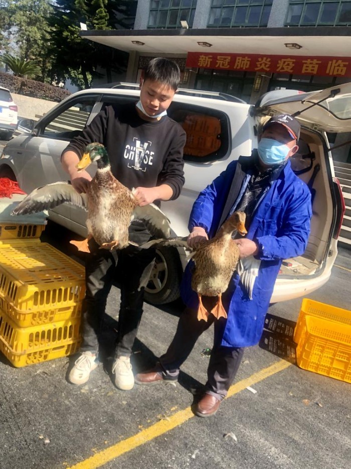 808ab21edb89e085a0d0064f48c2c73