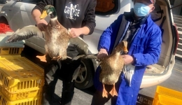 自治区南溪山医院：爱心助农彰显“红色力量”