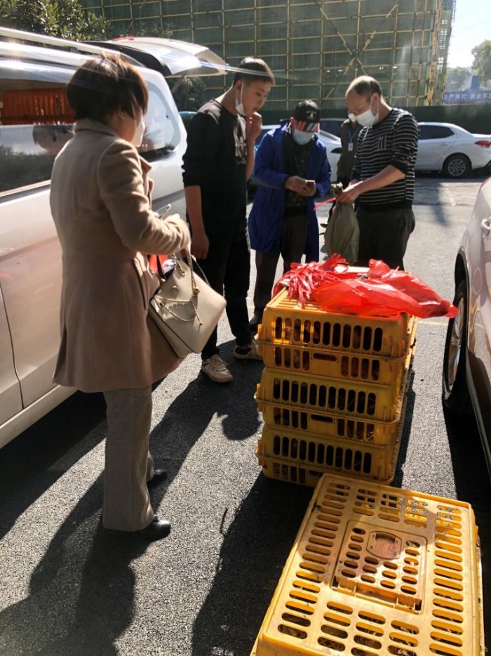 fc9846822e2c00ba41f7b853195d358