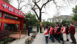 荷花播种将军湖   助力桂林卫生城