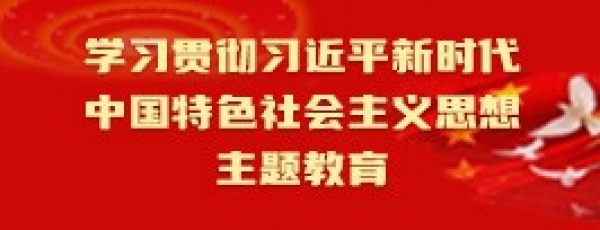 学习贯彻习近平新时代中国特色社会主义思想主题教育