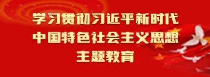 学习贯彻习近平新时代中国特色社会主义思想主题教育