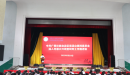 自治区南溪山医院党委召开大兴调查研究工作推进会