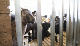 助力产业发展 推动乡村振兴