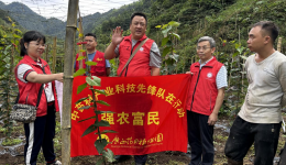 农技服务下田间，助农增收促振兴