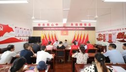 自治区南溪山医院赴龙胜县开展助力乡村振兴主题党日活动