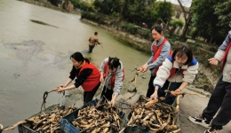 12.5国际志愿者日| 微光成炬，向光而行