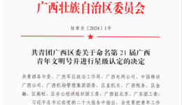 广西壮族自治区南溪山医院财务科门诊收费处：凝聚青春力量，绽放青春风采