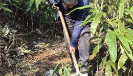 春“锋”十里，正“植”有你