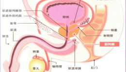 关爱男性，一路“前”行