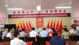 自治区南溪山医院赴龙胜开展助力乡村振兴主题党日活动暨庆祝中国共产党成立103周年系列活动