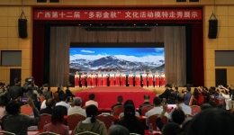 岁月之美 闪耀舞台 南溪山医院退休干部参加广西第十二届“多彩金秋”文化活动