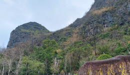 自治区南溪山医院打造绿色生态医院  持续优化就医环境