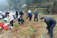 植树造林添绿意  美化环境筑家园 自治区南溪山医院行政后勤第七党支部开展植树节主题党日活动