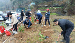 植树造林添绿意  美化环境筑家园 自治区南溪山医院行政后勤第七党支部开展植树节主题党日活动