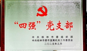 喜讯！自治区南溪山医院急诊重症第一党支部荣获桂林“四强”党支部称号