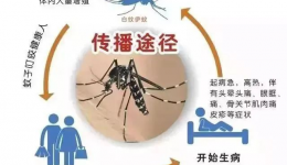 全国疟疾日丨防