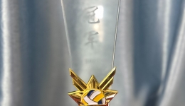 南溪山医院药学部获得医技分工会气排球比赛冠军