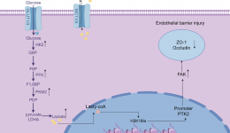 自治区南溪山医院检验科再发高水平论文，梅毒研究取得新成果