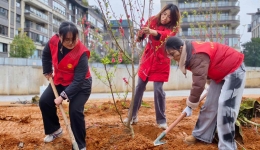 自治区南溪山医院团委组织参加植树造林志愿服务活动