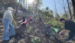 植绿护河践初心自治区南溪山医院医学影像科为春日漓江添新绿